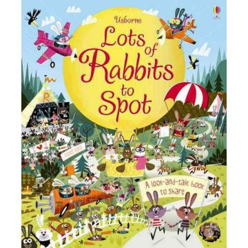 Usborne Lots of Rabbit to Spot