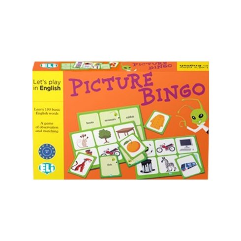 Picture Bingo - Let's Play in English
